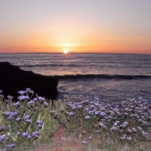 Meet your Posher, Steve